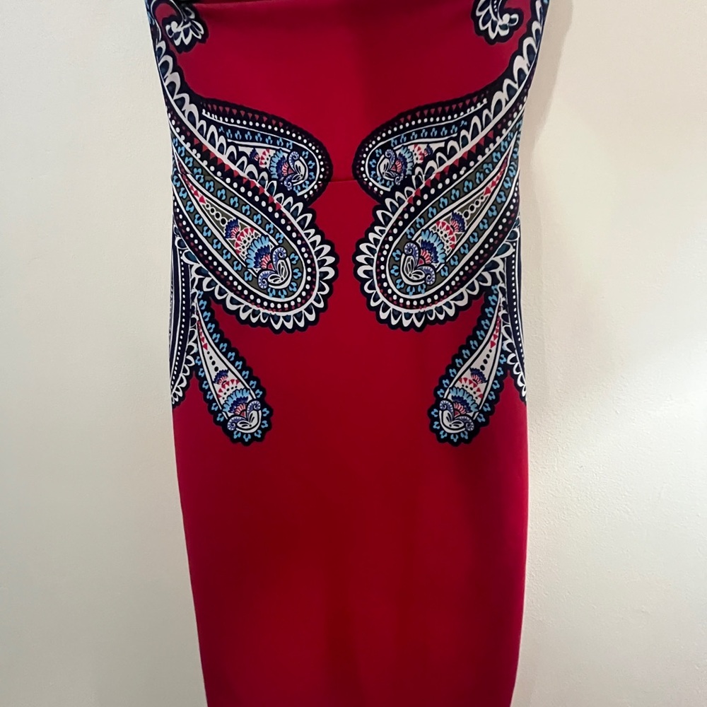 Express Tube Paisley Print Red Dress